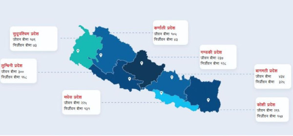बीमामा ठुलो सम्भावना