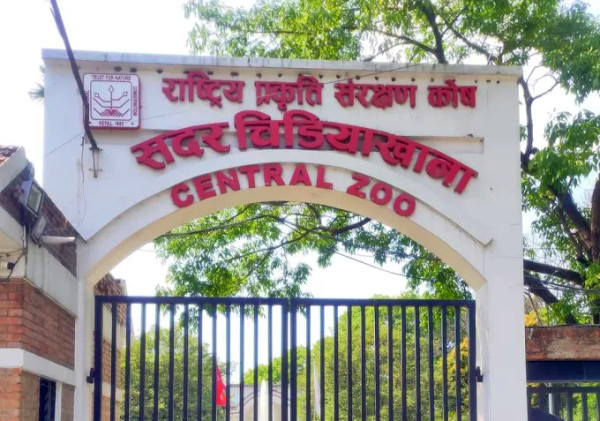 चिडियाखाना प्रमुख साह छानबिनमा