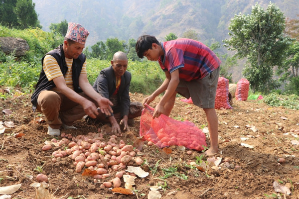 कृषिमा भविष्य खोज्दै युवा, बदलिँदै गाउँको तस्वीर
