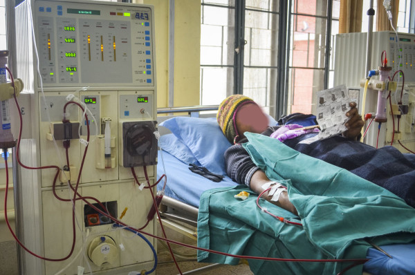 मिर्गौला प्रत्यारोपणको सफलतामा निरन्तरताको खाँचो