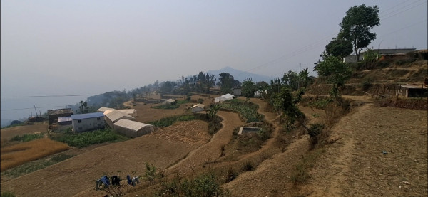 फस्टाउँदै तरकारी खेती, हट्दै भारत जानुपर्ने बाध्यता
