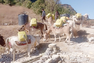 खच्चडलाई पानी बोकाएर खानेपानी ट्यांकी बनाइँदै
