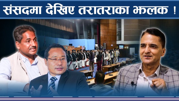 संसदमा कोहि बस्ने सुरमा, कोहि फरक मुडमा ! भिटिजले रमितै–रमिता !