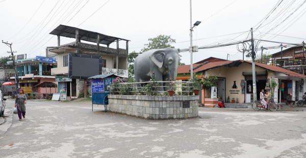 सौराहामा घटे पर्यटक