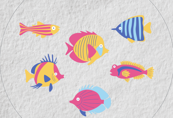 अवैध रूपमा भित्रिने माछाका कारण किसान समस्यामा