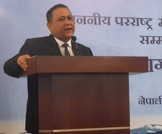 ‘जनादेशमा प्रवासी नेपालीको ठूलो हात’