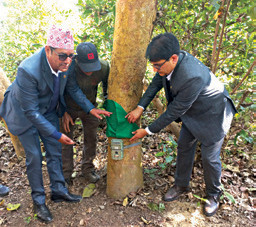 बाघ गणना सुरु