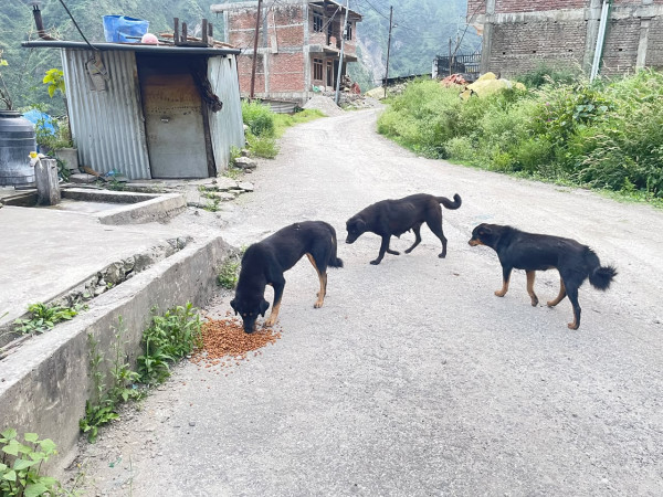 जलप्रलय प्रभावित मनुमित्रलाई सहयोग