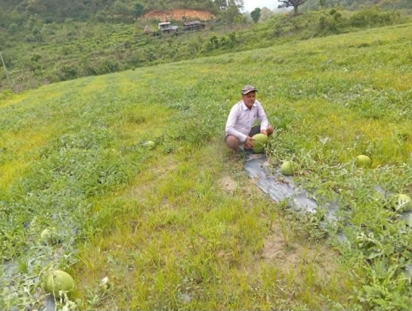 आचार्यको तरबुजाखेती अरुका लागि प्रेरणा