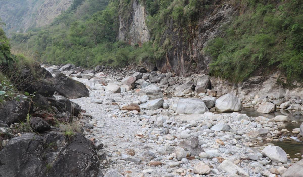 पाइन छाडे मिस्त्री खोलामा माछा
