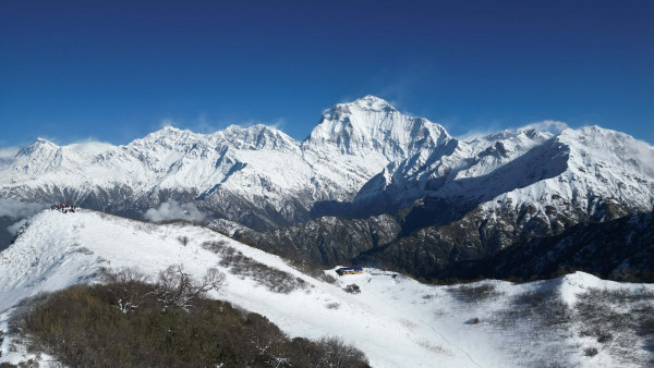 धौलागिरिबाट आरोहीको उद्धार