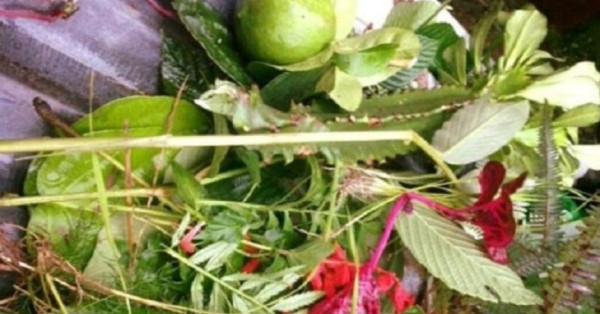 आज साउने सङ्क्रान्ति पर्व मनाइँदै