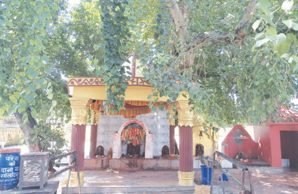 परेवा बेचेर मन्दिरले कमायो दुई लाख