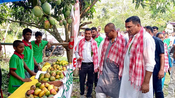 आँप महोत्सवमा किसान उत्साहित
