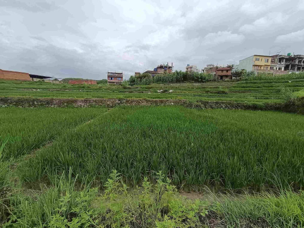 बढेन घरजग्गा कारोबार