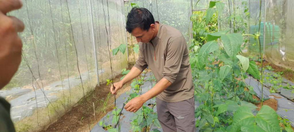 कोरियाबाट फर्केर व्यावसायिक कृषि फार्म सञ्चालन