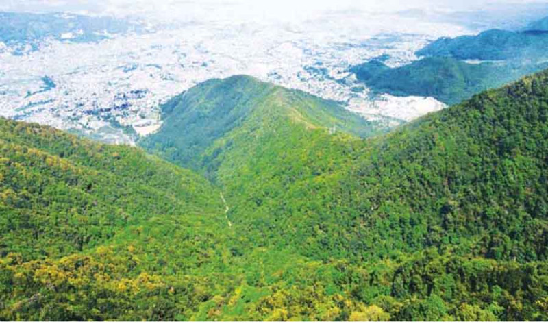 हरियो वन नेपालको धन रहेन