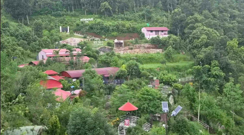 झांगाझोलीमा जडीबुटी अवलोकनकर्ताको आकर्षण