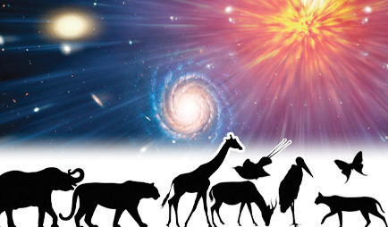 संवेदना नै अस्तित्व हाे