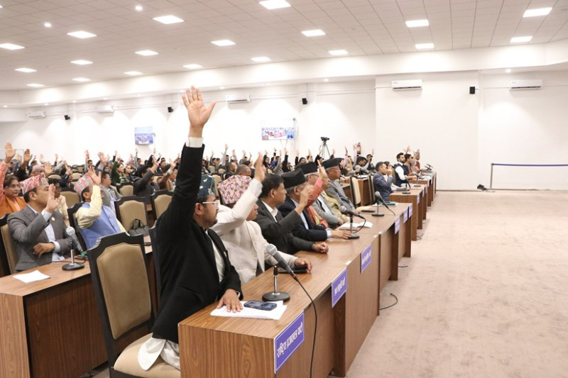 प्रतिनिधिसभाबाट भोटेकोशी बाढी विपद्सम्बन्धी विशेष प्रस्ताव पारित