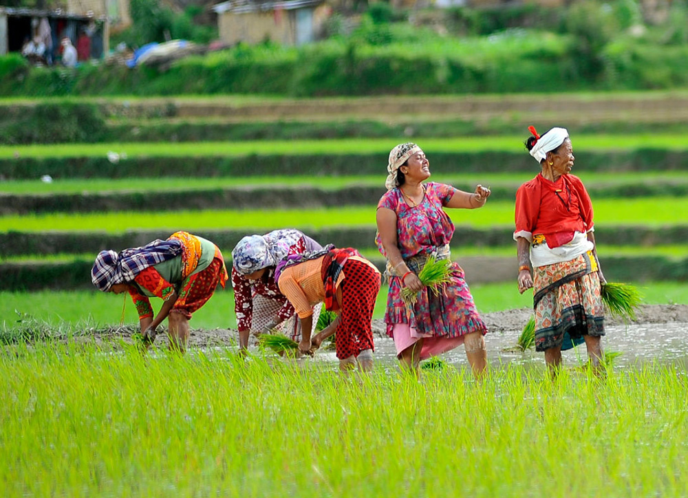 असार १५ र सांस्कृतिक दर्शन
