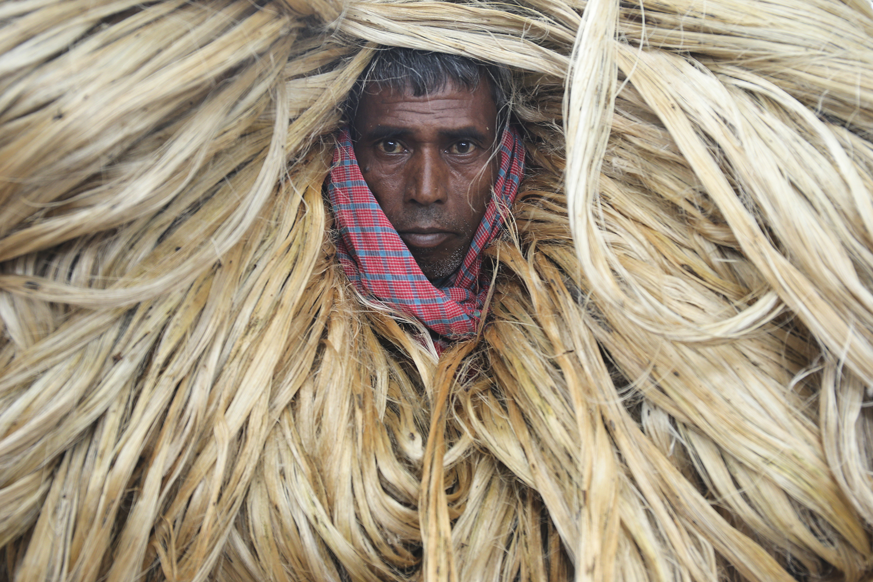 बंगलादेशको मानिकगंजमा रहेको जुट बजार