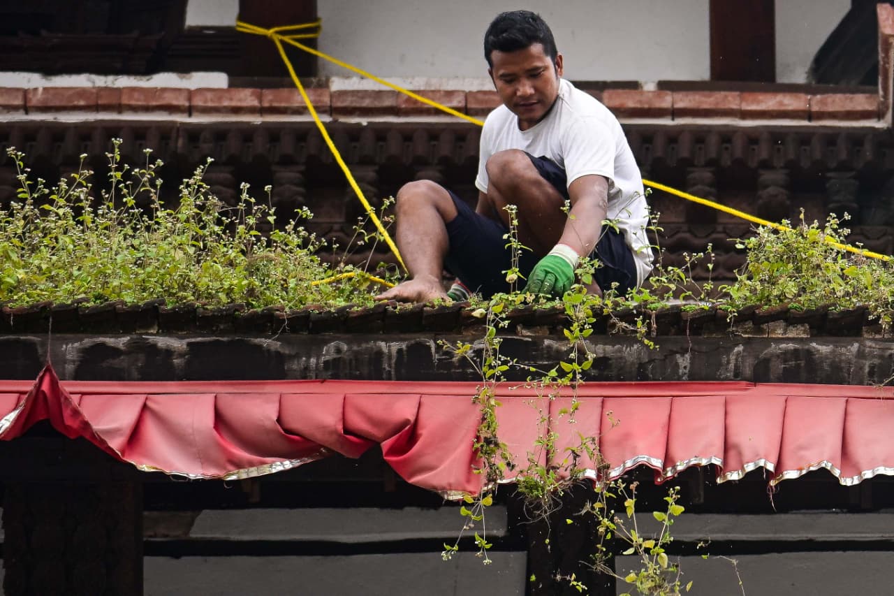 मन्दिरको झार हटाउँदै इन्द्रजात्राका लागि वसन्तपुरमा सरसफाइ