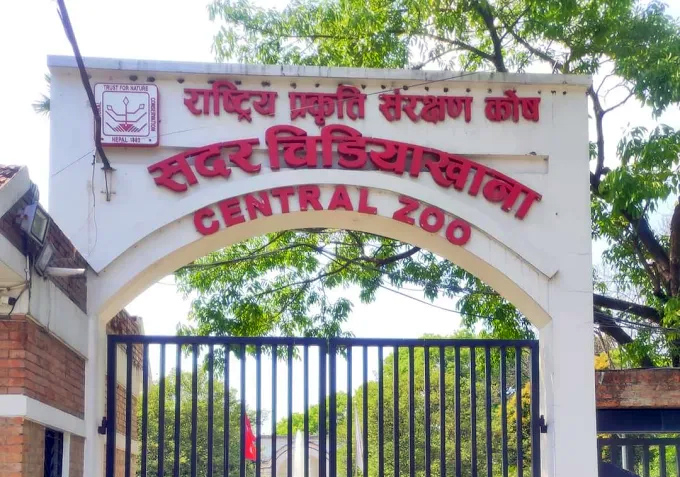 चिडियाखाना प्रमुख साह छानबिनमा