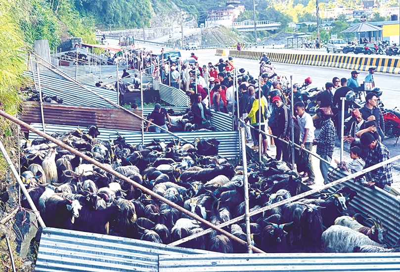 बडादसैंमा महँगीको मार