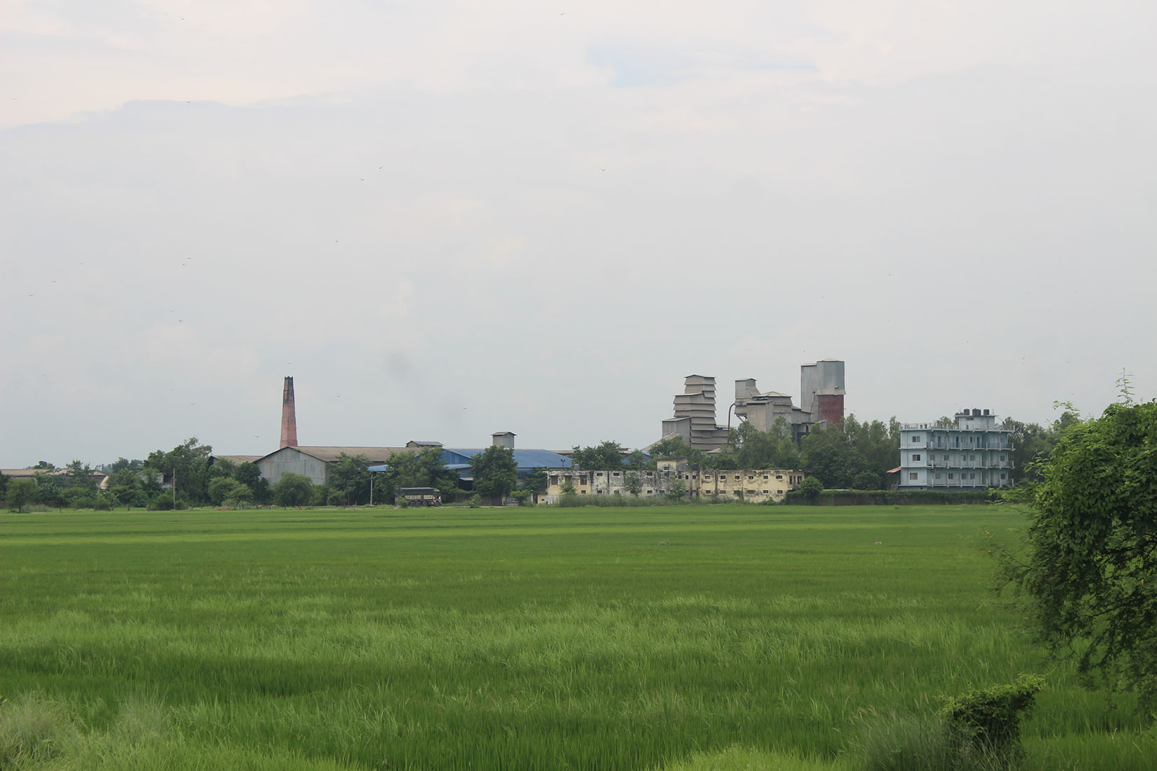 विकल्पबिना सम्भव छैन उद्योग सार्न