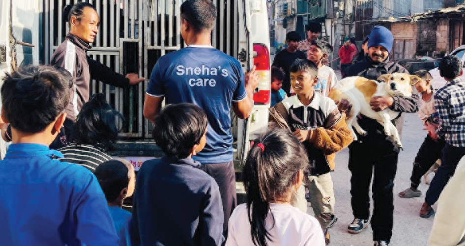 काठमाडौंमा ५ हजार कुकुरको बन्ध्याकरण