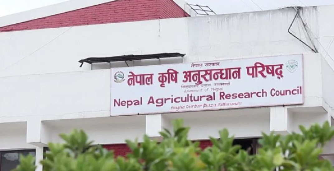नार्कका सम्पर्कविहीन दुई कर्मचारी बर्खास्त