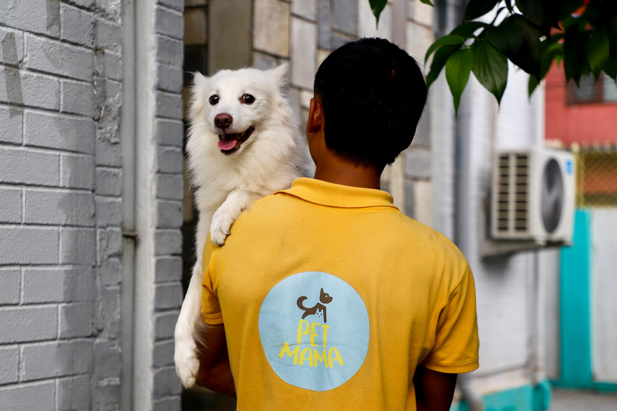 नेपालकै पहिलो व्यावसायिक पेट ग्रुमिङ सेन्टर 'पेट मम्मा'