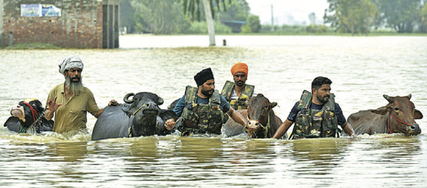 भारतको पञ्जाबमा दशककै भीषण बाढी, हजारौ गाउँ डुबानमा