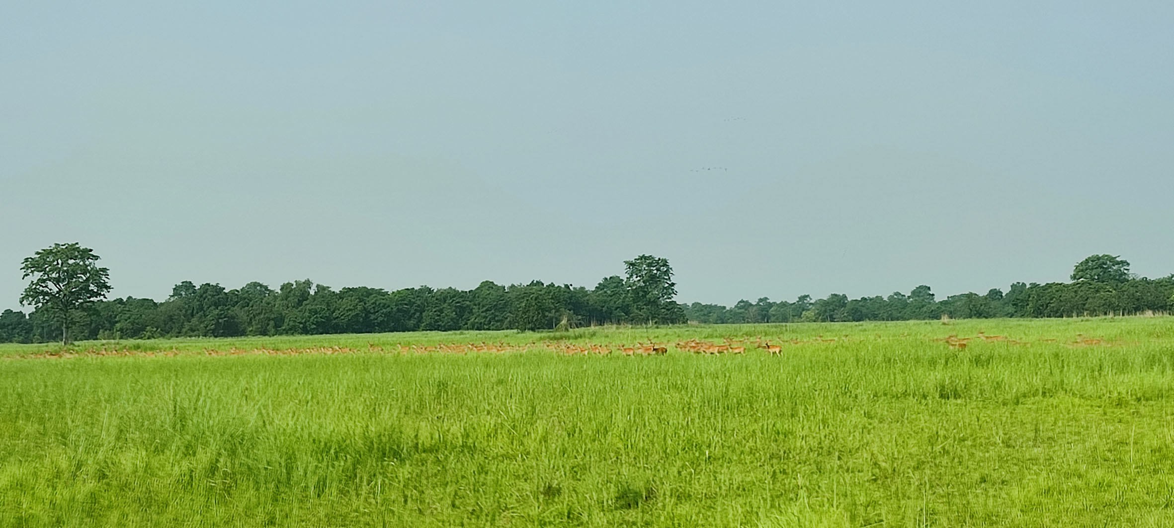 प्रचारप्रसार नहुँदा ओझेलमा शुक्लाफाँटा