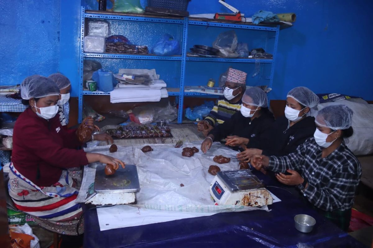 तराईबाट सख्खर ल्याएर परम्परा धान्दै टोखाका चाकु व्यवसायी