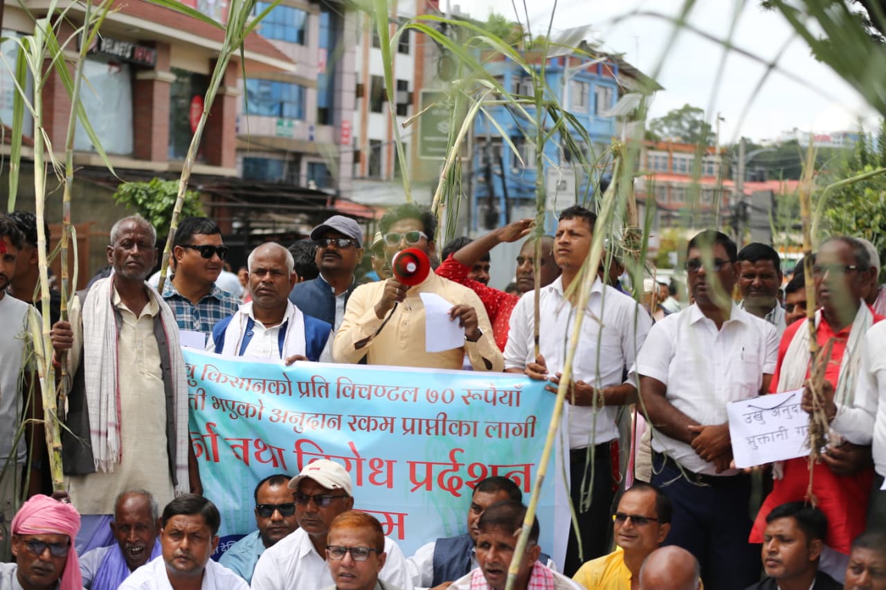 उखुको बक्यौता माग्दै किसानहरु उखु बोकेर माइतीघरमा धर्ना