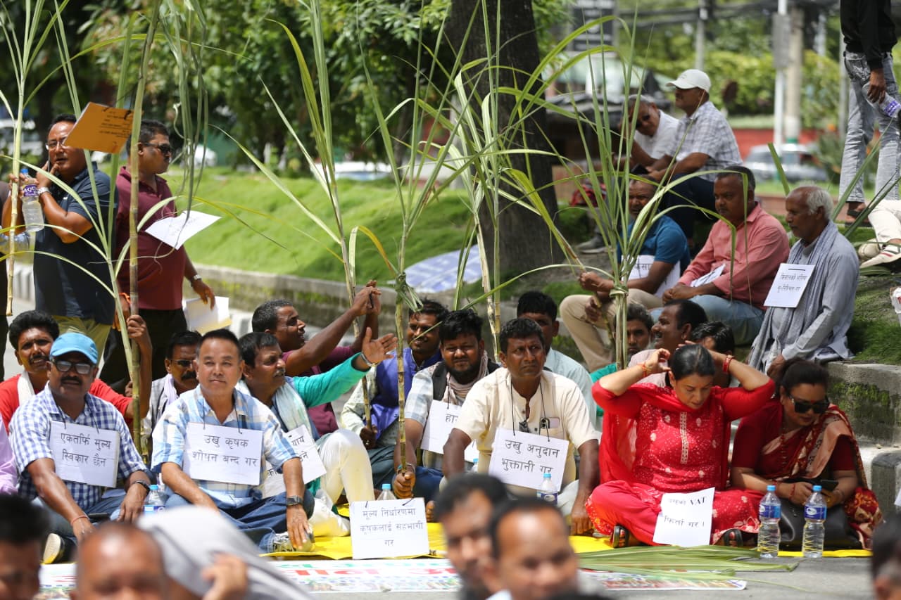 उखु किसानलाई अनुदान निकासा, बिहीबारसम्म किसानको खातामा रकम जाने