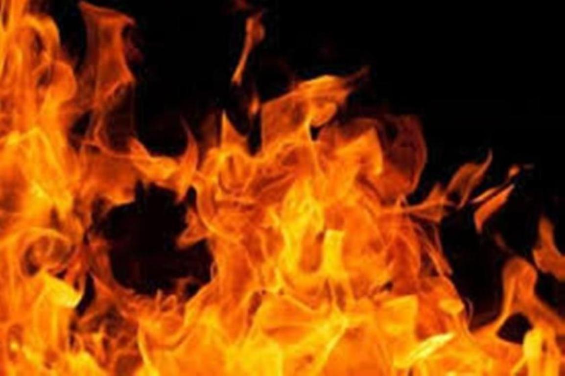 भारतको एक पटाका उद्योगमा आगलागी, २० जनाको मृत्यु