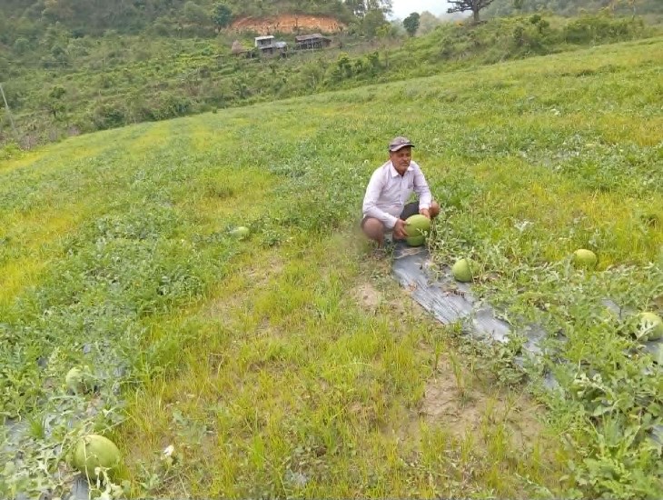 आचार्यको तरबुजाखेती अरुका लागि प्रेरणा