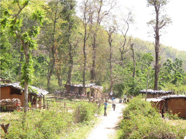 दैलेखमा ४२० हेक्टरभन्दा बढी वन अतिक्रमित