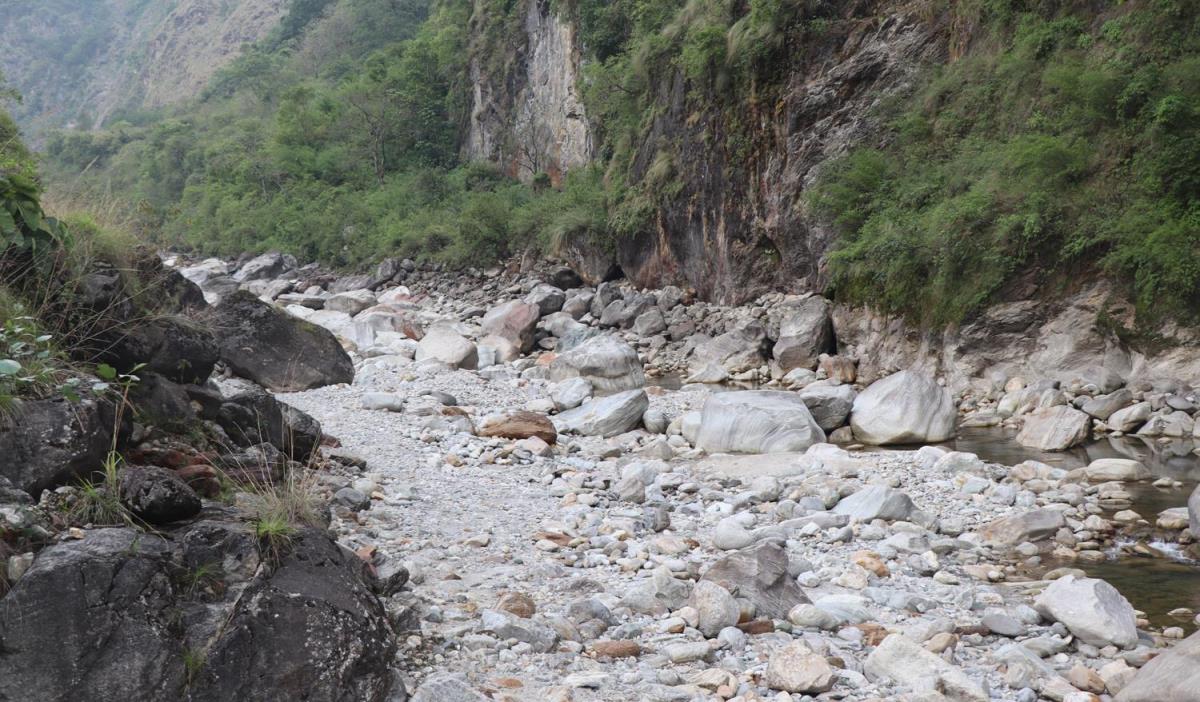 पाइन छाडे मिस्त्री खोलामा माछा