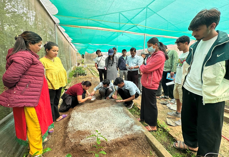 कफी खेतीमा युवाको बढ्दो चासो