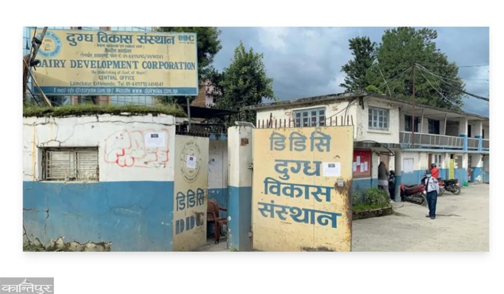 डीडीसीका कर्मचारीलाई सित्तैमा दूध र घिउ लैजान रोक