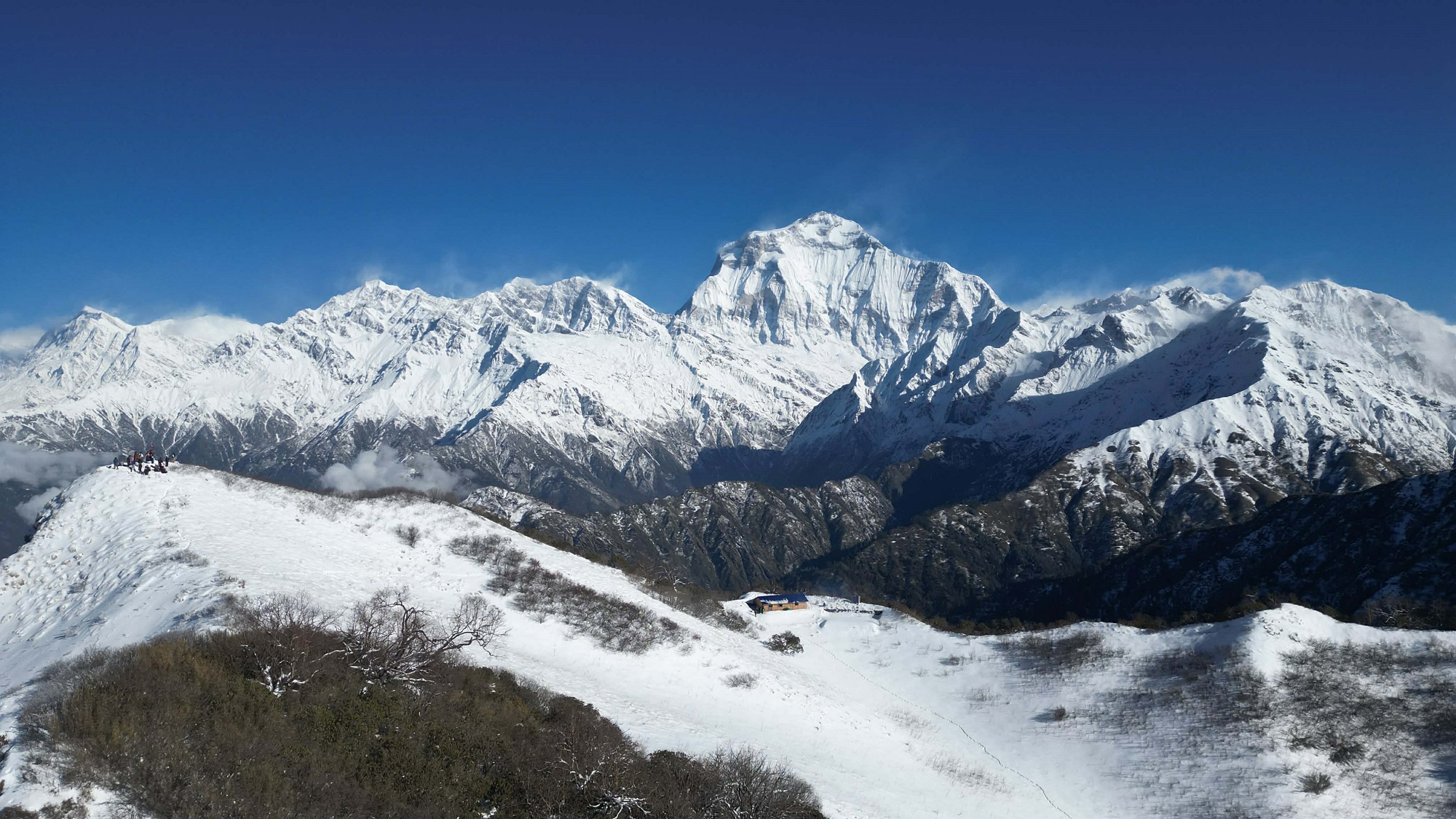 धौलागिरिबाट आरोहीको उद्धार