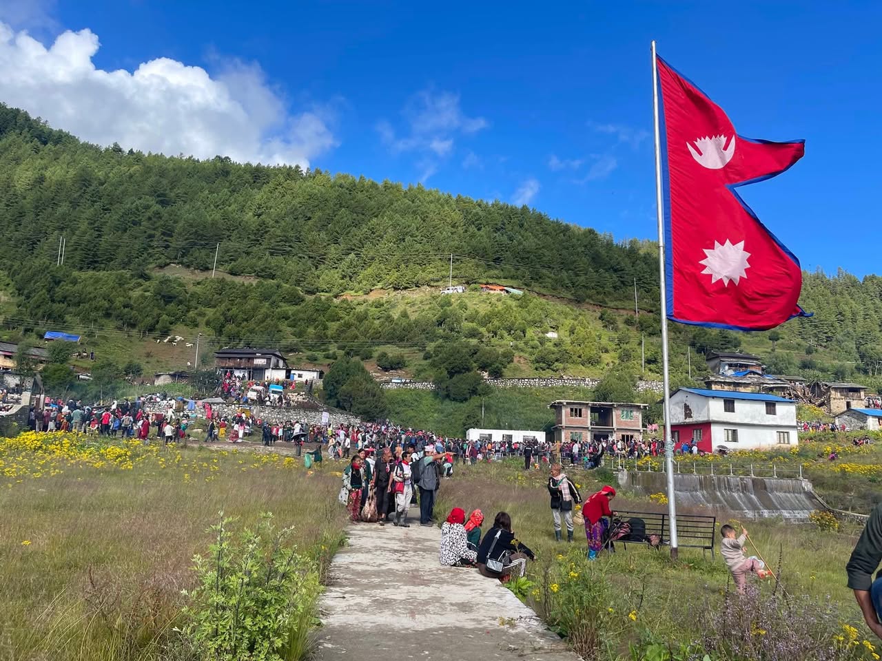 ‘मोहनी ढोरपाटन’ पुग्नै सकस