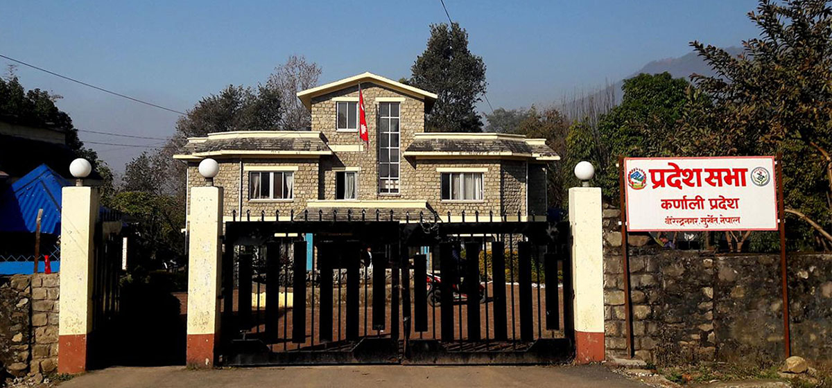 हिमाली जिल्लाको नियमित हवाई उडान गर्ने संकल्पपत्र पारित