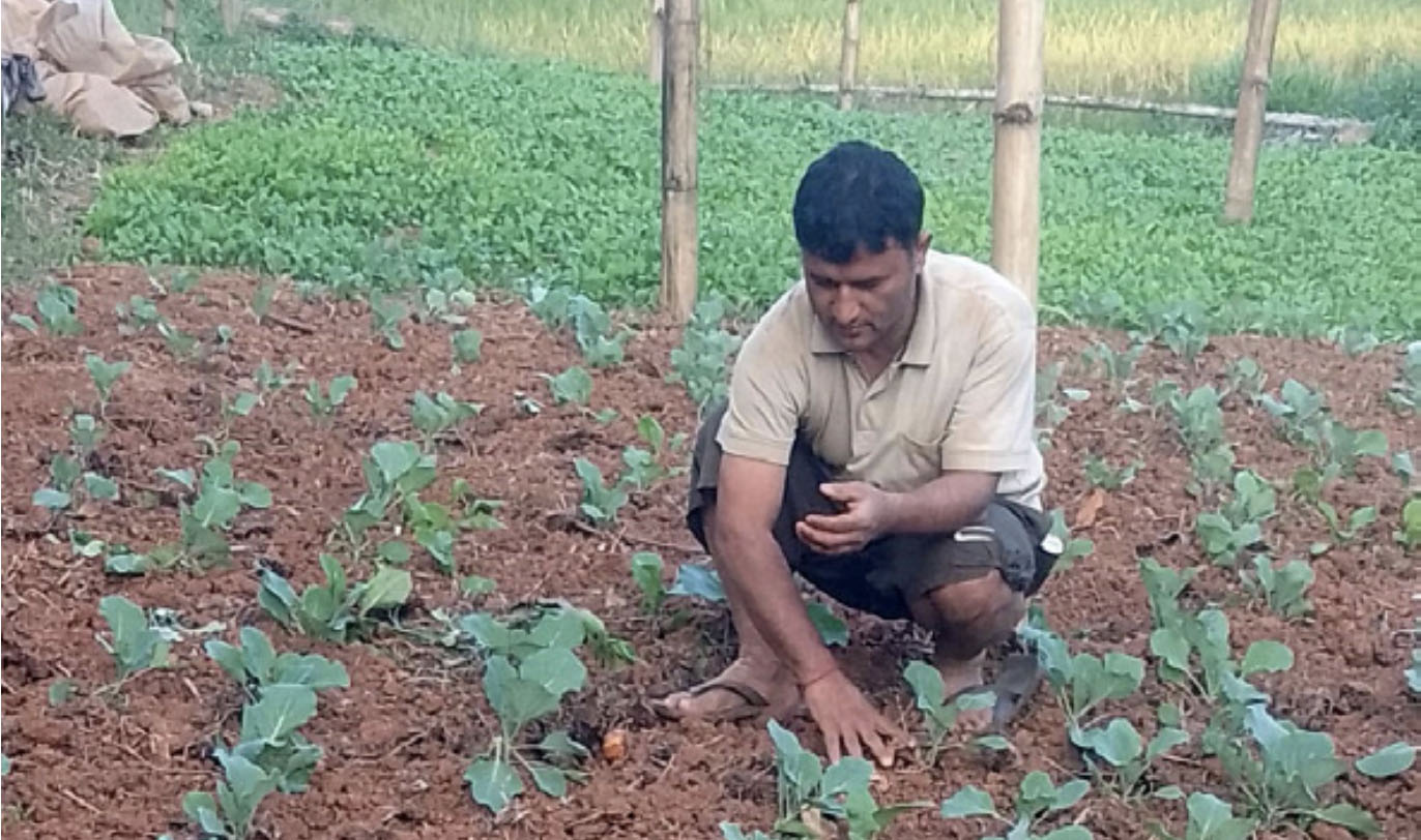 व्यावसायिक कृषिमा युवाको आकर्षण