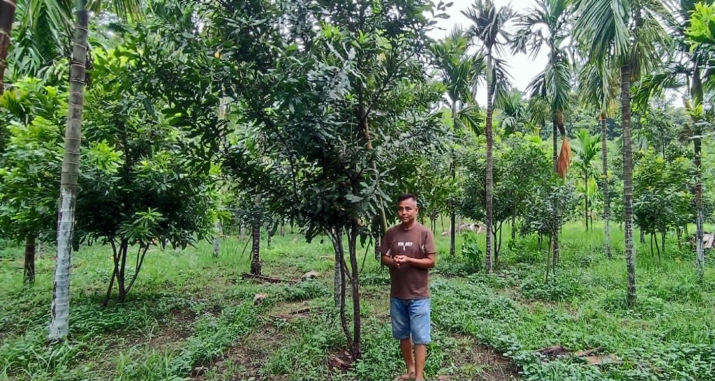 ‘मेकाडामिया नट्स’मा रूचि राख्दै किसान