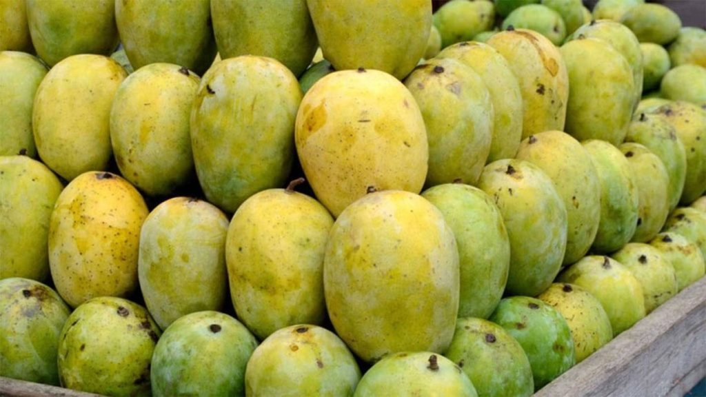 आँपको उत्पादन बढ्यो, घटेन मूल्य